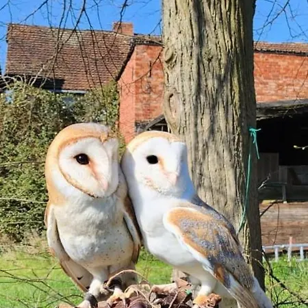 Stadt Hamburg Гостевой дом